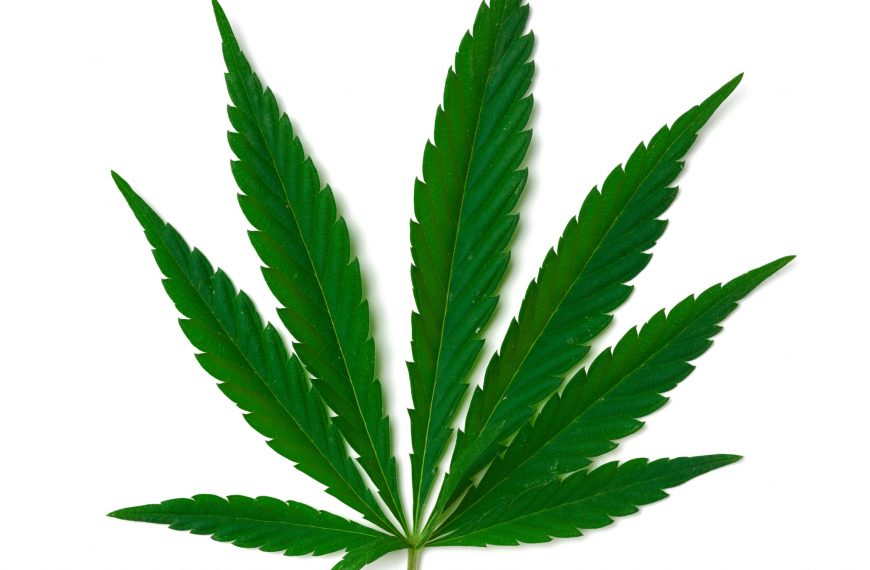 FREIE WÄHLER: Regulative Vorgaben für die Cannabislegalisierung
